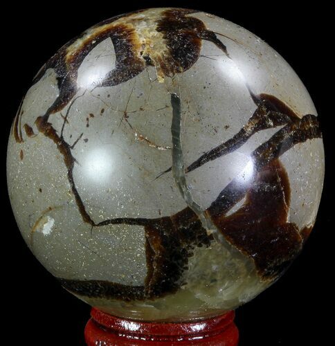 Polished Septarian Sphere - Madagascar #67838